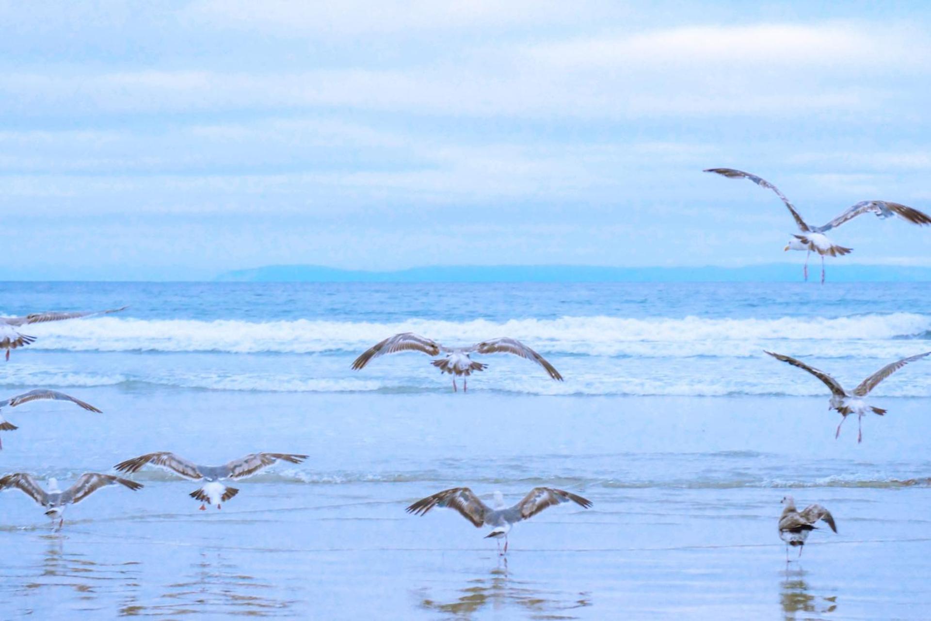 Beach Appartement 17 - Aan De Duinen, Callantsoog Aan Zee Dış mekan fotoğraf