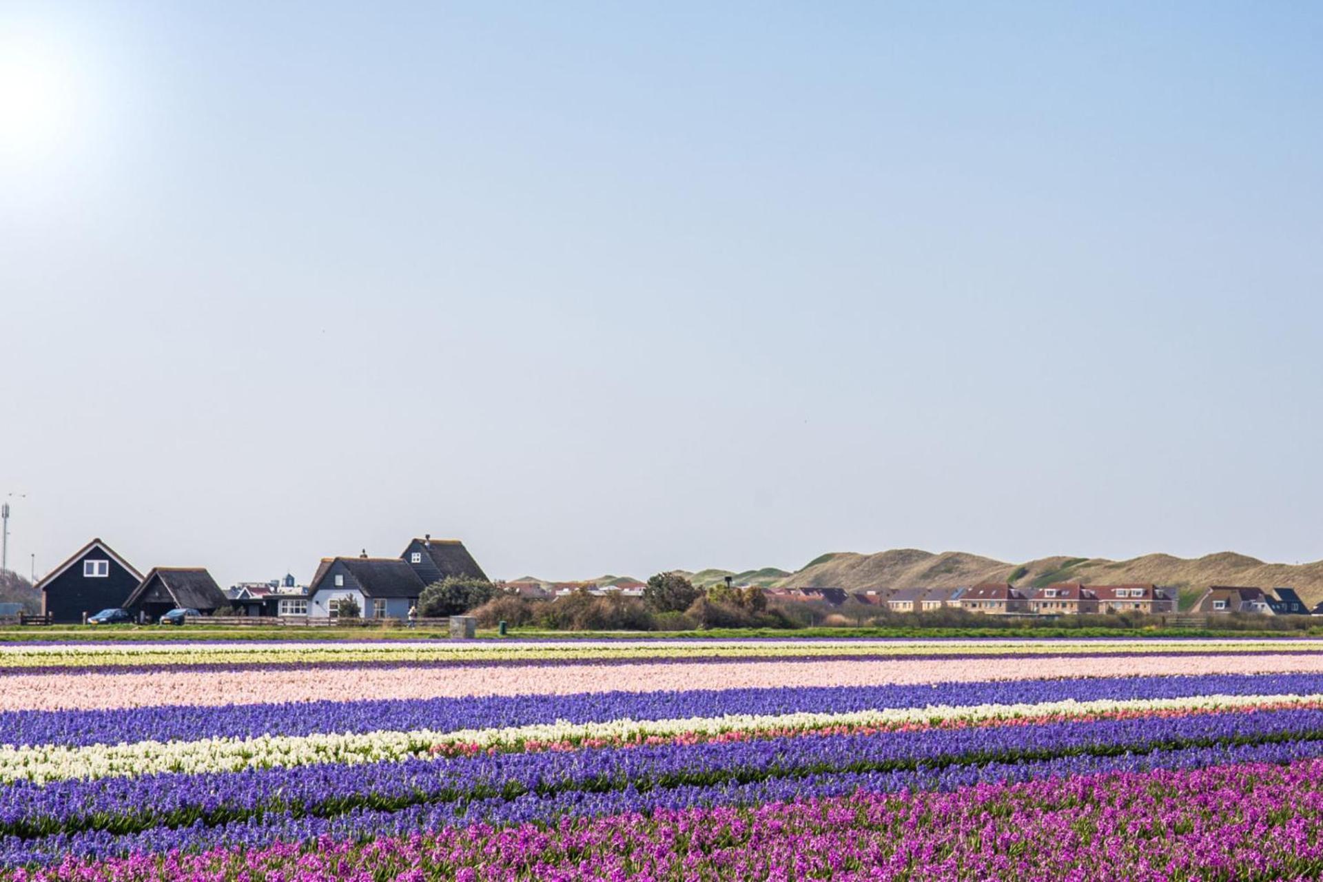 Beach Appartement 17 - Aan De Duinen, Callantsoog Aan Zee Dış mekan fotoğraf